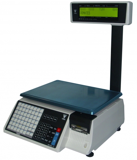 Весы с печатью DIGI SM-100